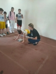 15 (4)