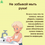 Огород 6