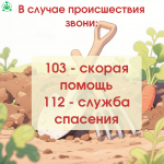 Огород 7