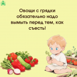 Огород 5